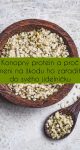 Konopný protein a proč není na škodu ho zařadit do svého jídelníčku